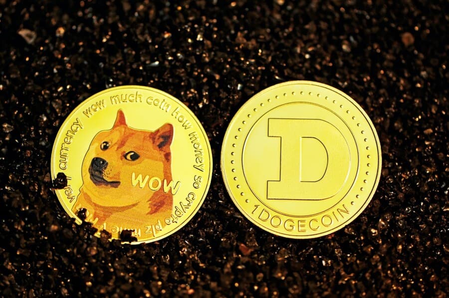 Цена Dogecoin взлетела на 28% после твита Маска